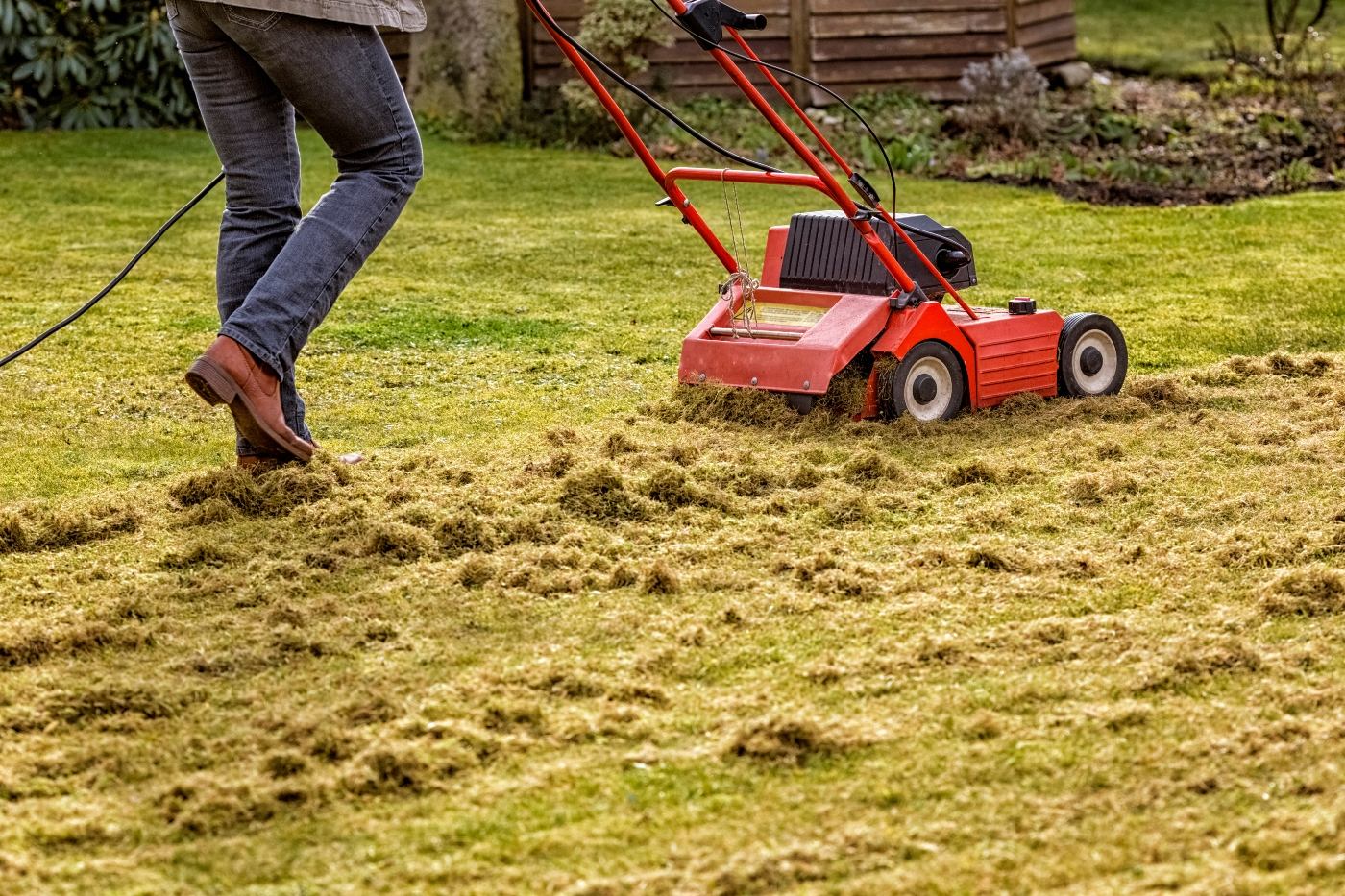 The Ultimate Guide to Maintaining a Healthy Lawn: Tips from Mike Deckelmann’s